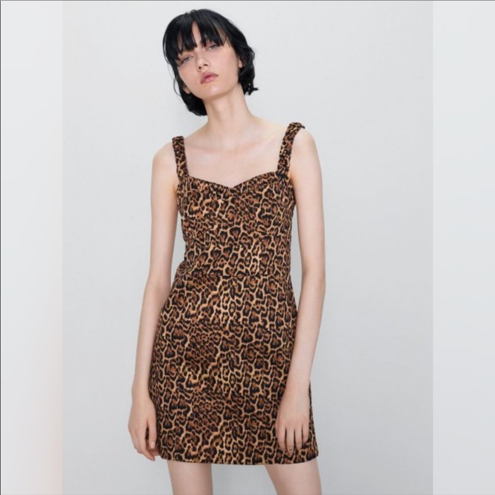 NWT Zara Animal Print Mini Dress